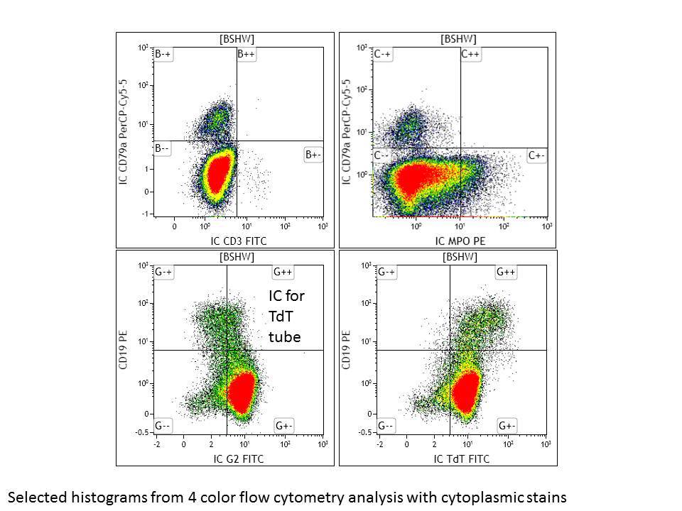 Flow cytometry cytoplasmic stains
